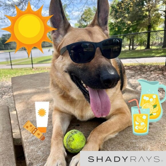 SHADYRAYS SIGNATURE SERIES Unisex Blackout Polarized "INCOGNITO" Sun Glasses 🕶️ - Picture 1 of 15
